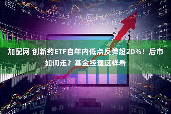 加配网 创新药ETF自年内低点反弹超20%！后市如何走？基金经理这样看