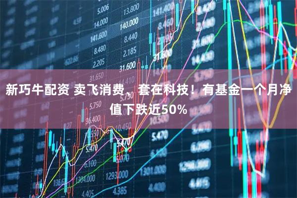 新巧牛配资 卖飞消费、套在科技！有基金一个月净值下跌近50%